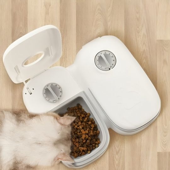 distributeur automatique croquettes chat minuterie