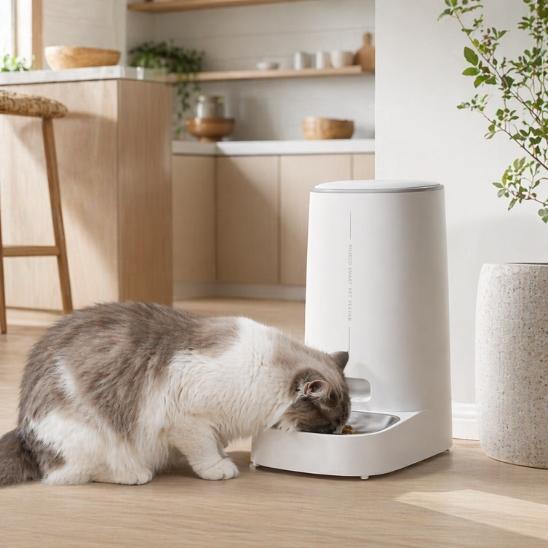 Distributeur de croquettes pour chat | Programmable