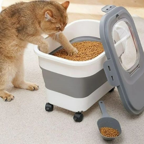 boĂźte a croquette chat roulettes
