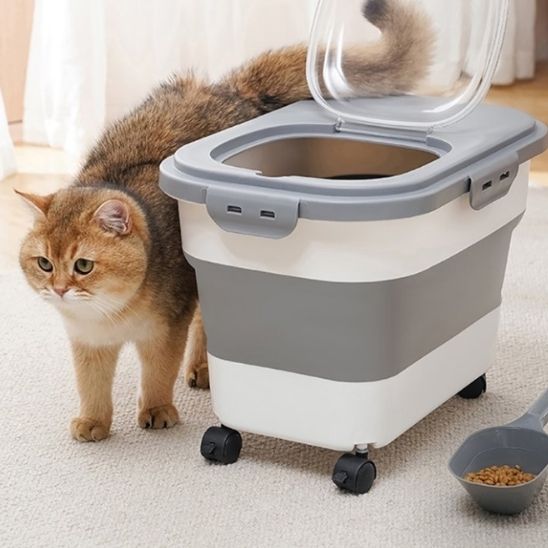 boite a croquette rangement pour croquettes chat couvercle rabattable