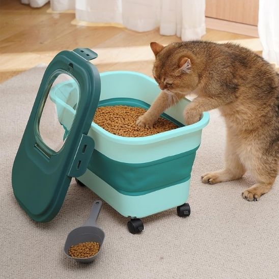 chat joue boĂźte a croquette rangement vert
