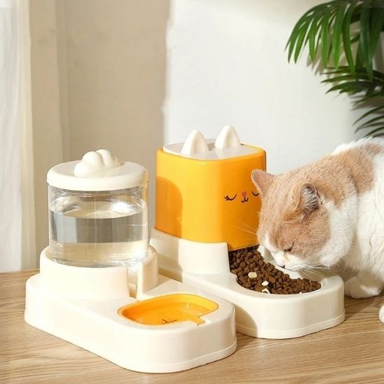 distributeur croquettes et eau chat sans électricité