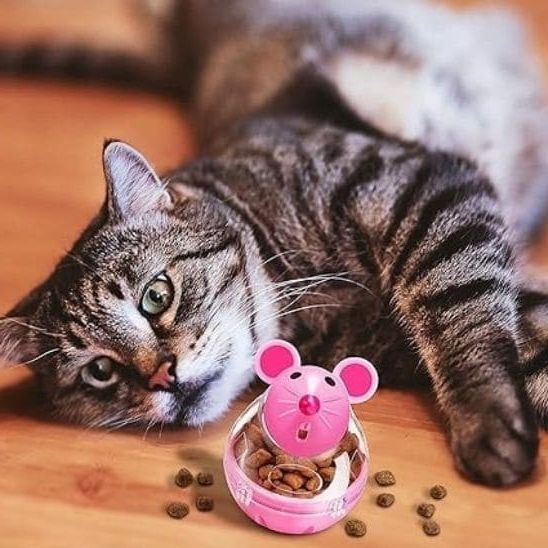 distributeur croquette chat jouet interactif rose