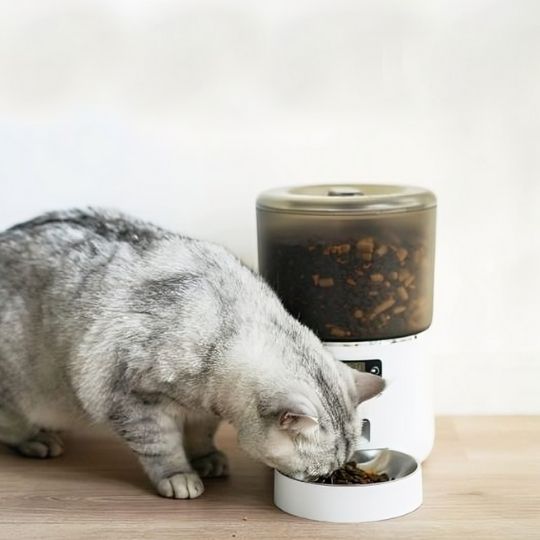 distributeur croquettes chat automatique blanc