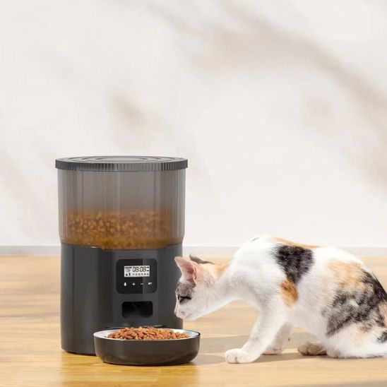 distributeur croquettes chat automatique noir modèle manuel boutons