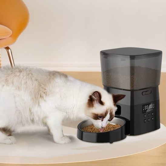 distributeur croquettes chat automatique programmé