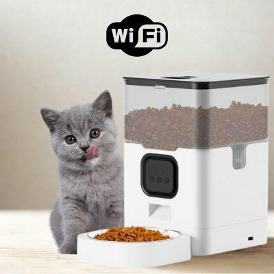 distributeur croquettes chat automatique intelligent WIFI bol inox