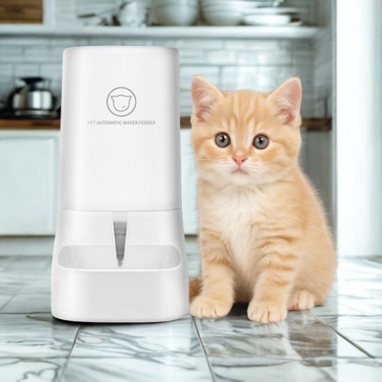 distributeur croquettes chat gravité option eau