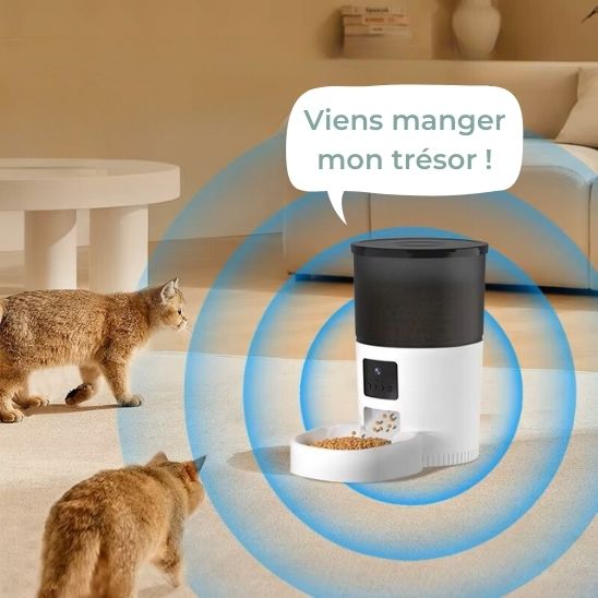distributeur de croquettes pour chat avec micro pour message