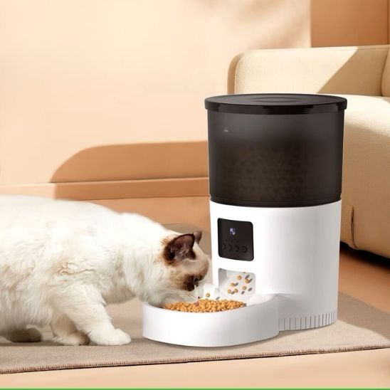 distributeur de croquettes pour chat programmable