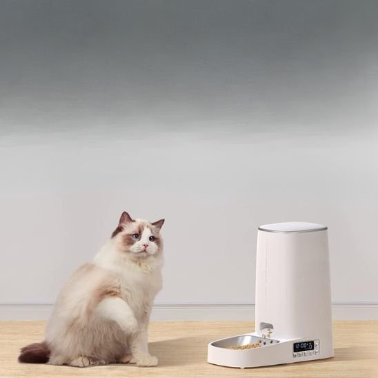 distributeur de croquettes pour chat croquettes de 4 Ă 12 mm