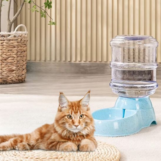distributeur eau chat automatique gravité bleu