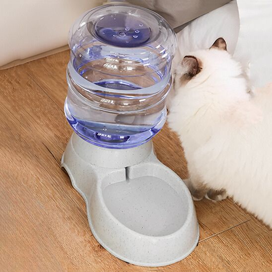 distributeur eau chat automatique gravité gris