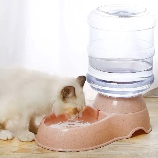 distributeur eau chat rose grande capacité automatique gravité