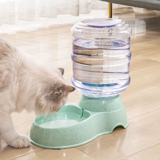 distributeur eau chat automatique siphon gravité vert