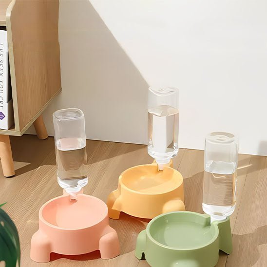 distributeur eau chat bouteille siphon plastique coloré