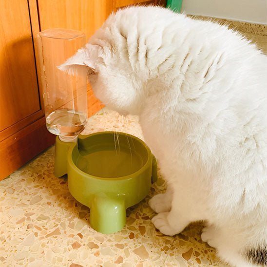 distributeur eau chat par gravité compact