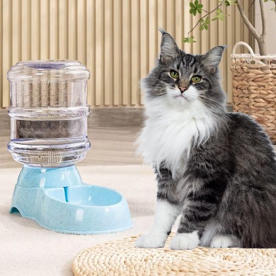 distributeur-eau-chat-couleur-bleu