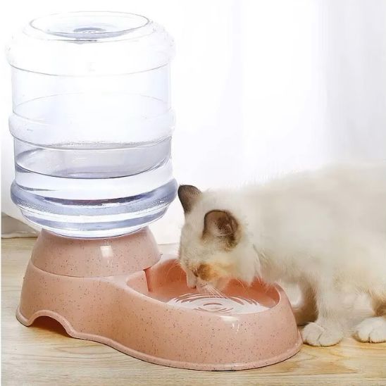 distributeur eau chat couleur rose