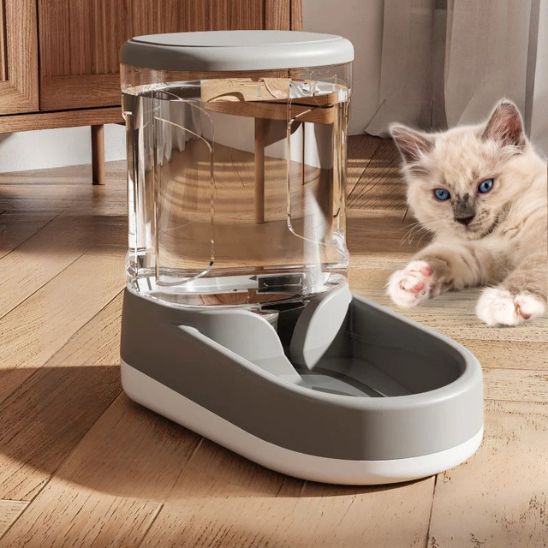 distributeur eau chat siphon dimensions