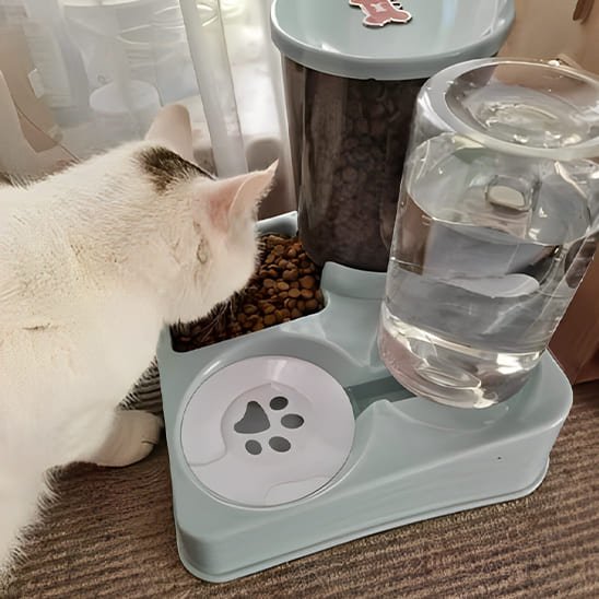 distributeur chat double eau nourriture vert