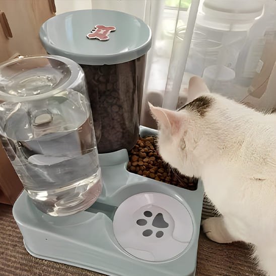 distributeur chat grande capacité croquettes eau