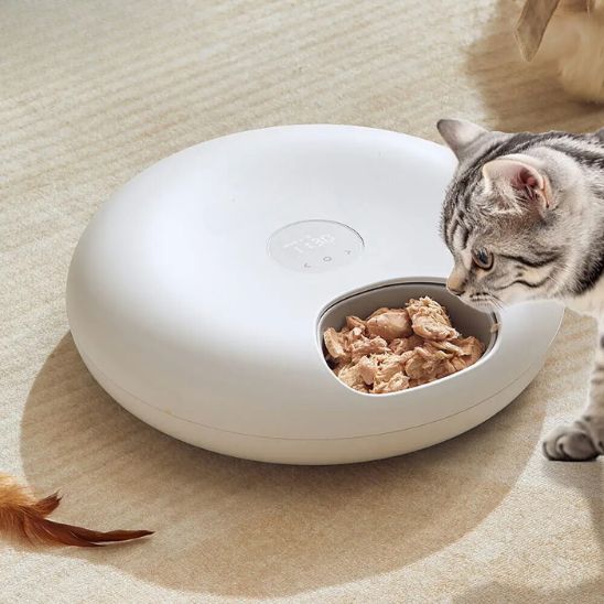 distributeur nourriture chat avec six sections