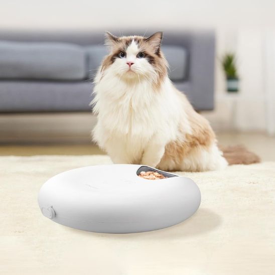 distributeur nourriture chat aliments secs et humides