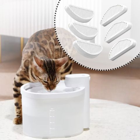 filtre fontaine a eau chat sans fil remplacement