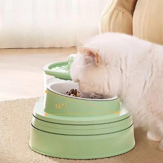 fontaine a chat eau avec nourriture inclinée ergonomique vert