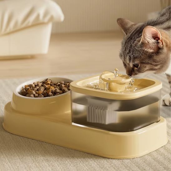 chat fontaine Ă eau 2 en 1 avec nourriture beige