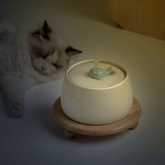 fontaine a eau chat ceramique baleine silencieuse