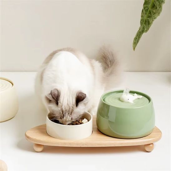 fontaine a eau chat ceramique design baleine ensemble gamelle