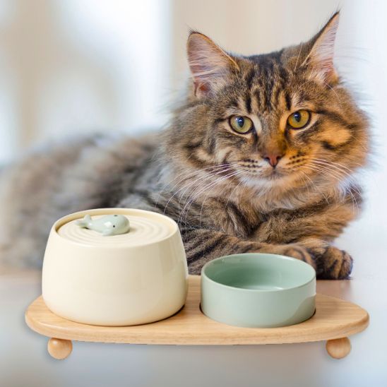 fontaine a eau chat ceramique design baleine ensemble gamelle