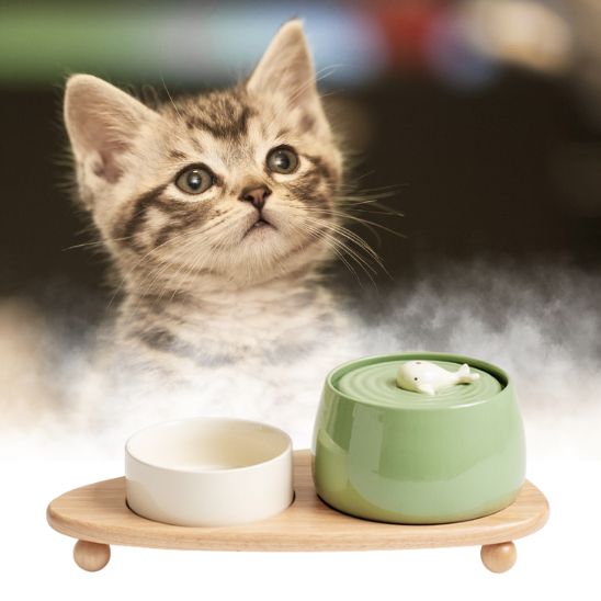 fontaine a eau chat ceramique design baleine ensemble gamelle