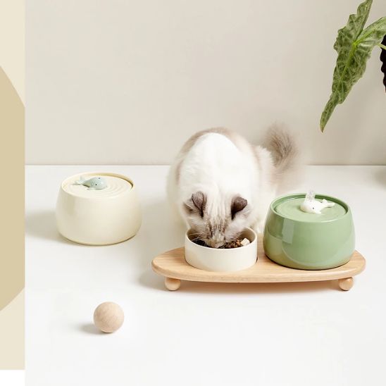 fontaine a eau chat ceramique design baleine ensemble gamelle