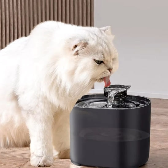 fontaine-a-eau-chat-couleur-noir