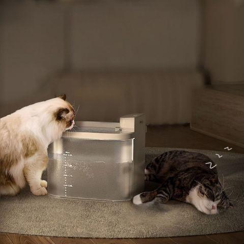 fontaine à eau chat sans fil silencieuse détecteur mouvement plastique