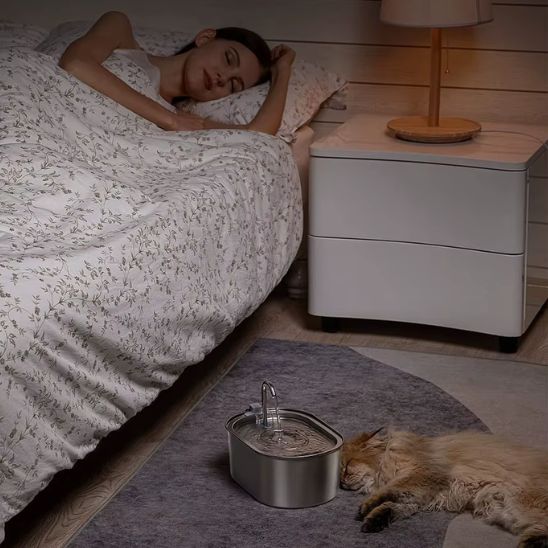 fontaine à eau chat inox ultra-silencieuse même la nuit