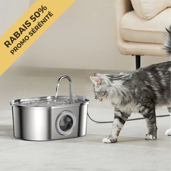 fontaine à eau chat inox promo