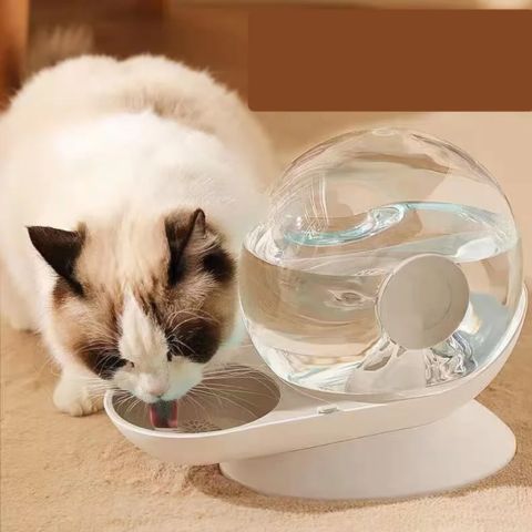 fontaine à eau pour chat a gravité gris