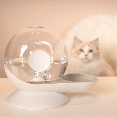 fontaine à eau chat sans électricité par gravité