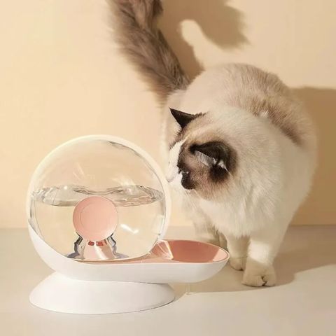fontaine à eau chat sans électricité forme escargot