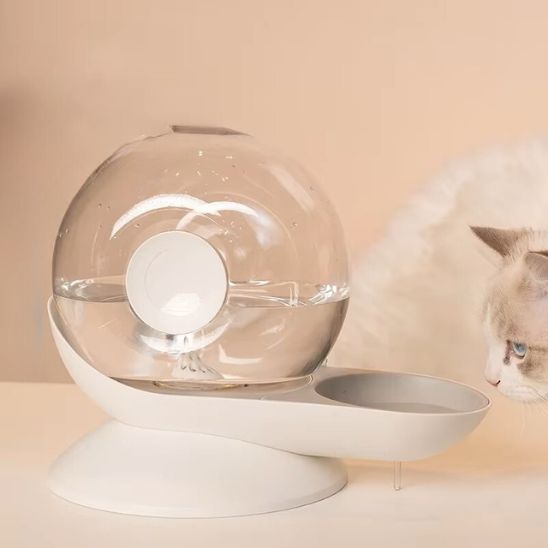 fontaine à eau chat sans électricité zen