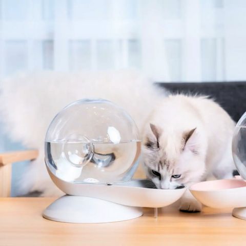 fontaine à eau chat sans électricité forme escargot