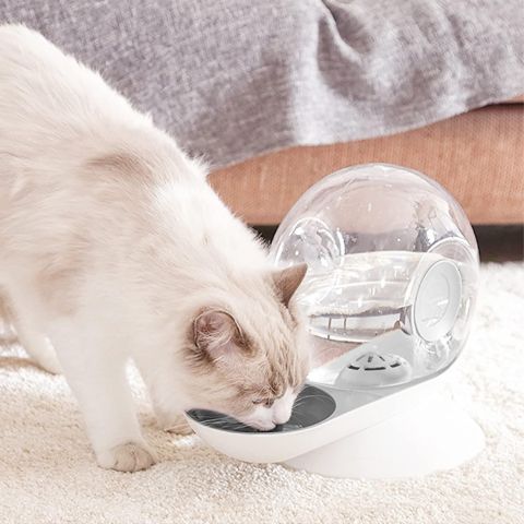 fontaine à eau chat sans électricité escargot gris