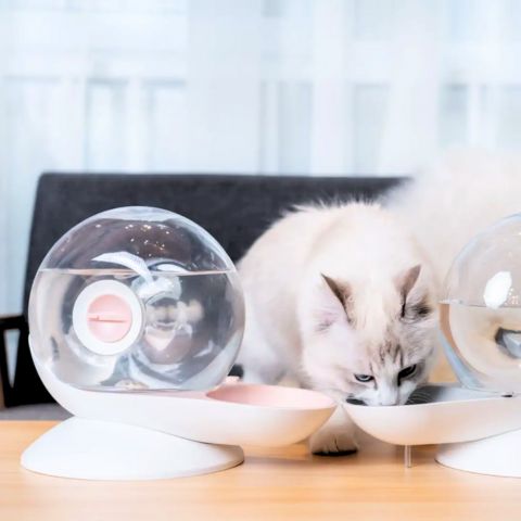 fontaine à eau chat sans électricité par gravité