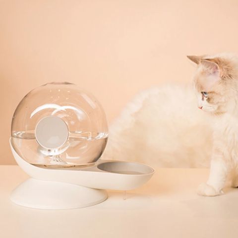 fontaine à eau chat sans électricité zen