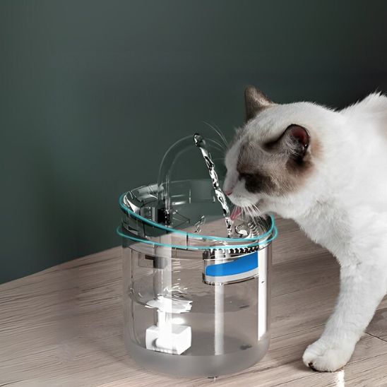 fontaine à eau chat transparente option robinet