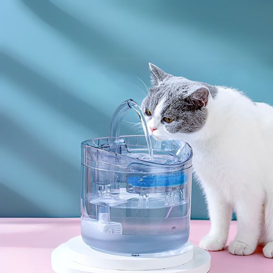 fontaine à eau chat utilisationsimple